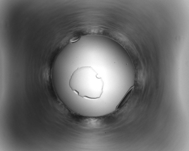 X0000088360326200706051028