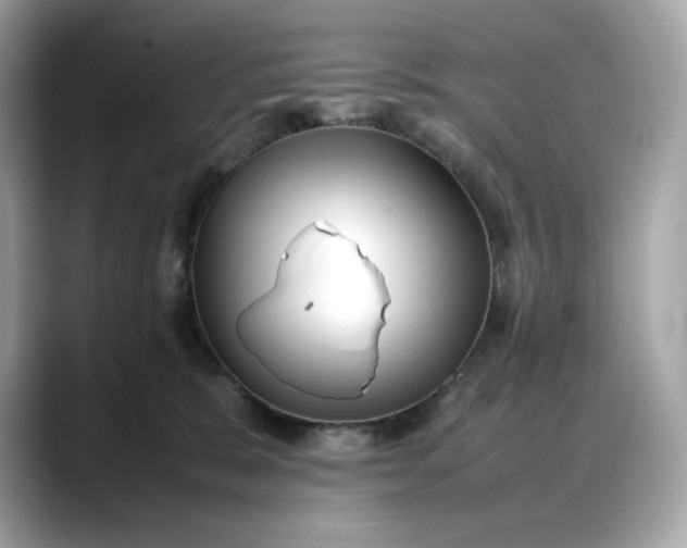 X0000088360327200706051028