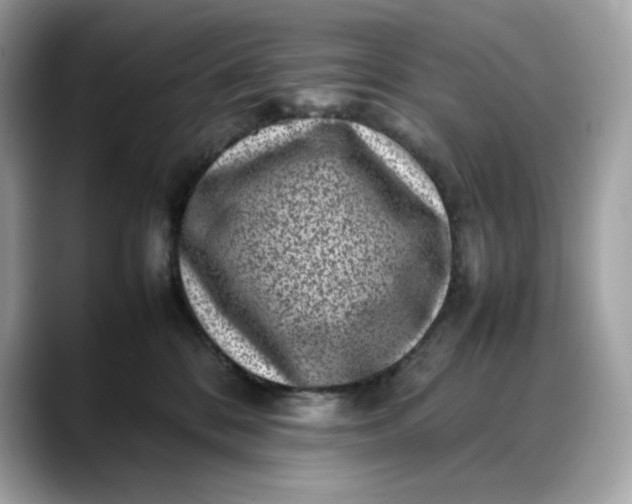 X0000088360328200706051028