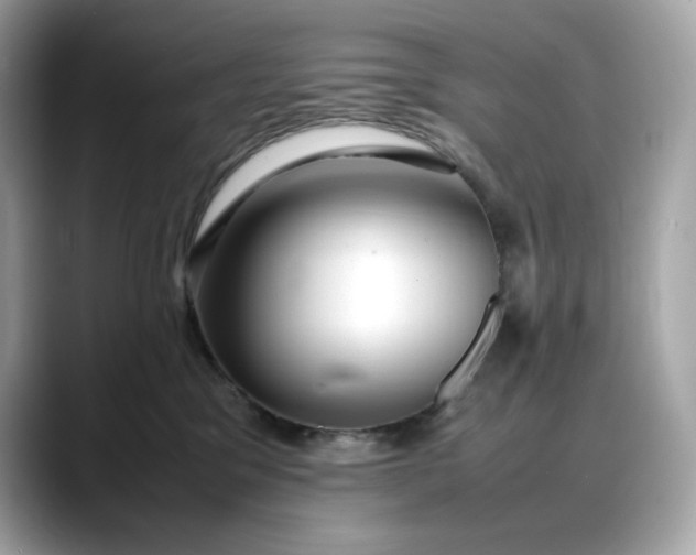 X0000088360329200706051028