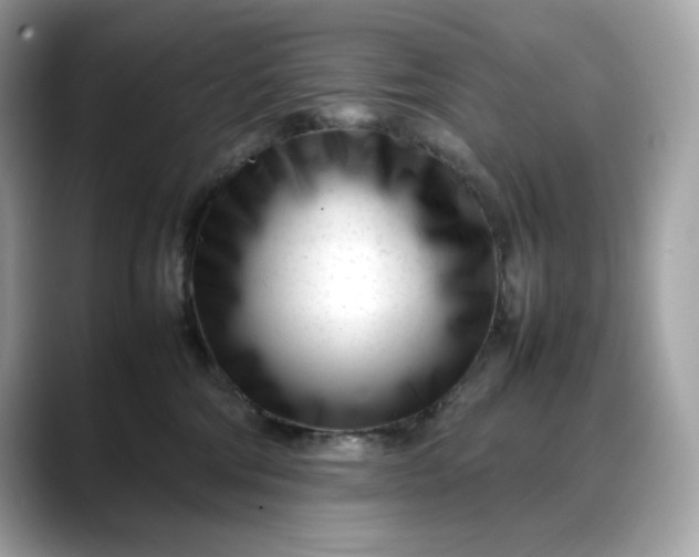 X0000088360330200706051028