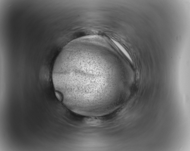 X0000088360331200706051028