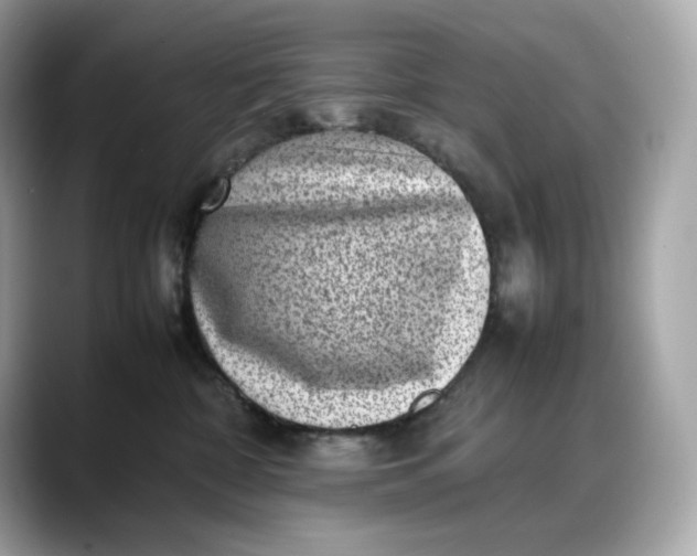 X0000088360332200706051028