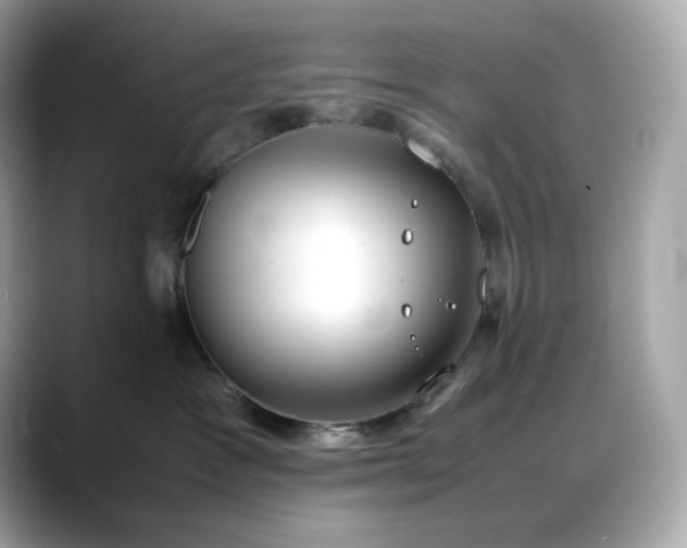 X0000088360333200706051028