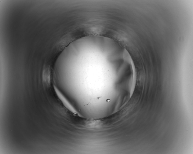 X0000088360334200706051028