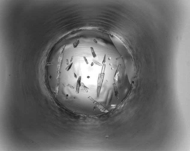 X0000088360337200706051027