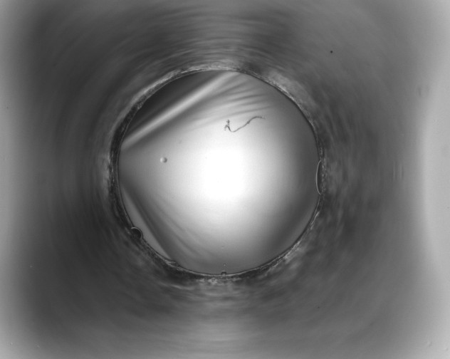 X0000088360338200706051027