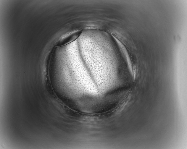 X0000088360339200706051027