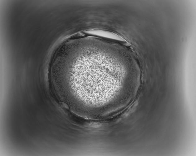 X0000088360341200706051027