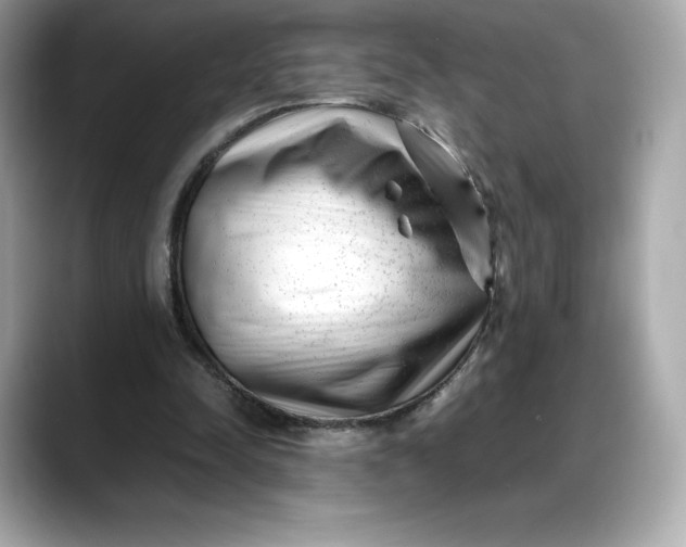 X0000088360342200706051027