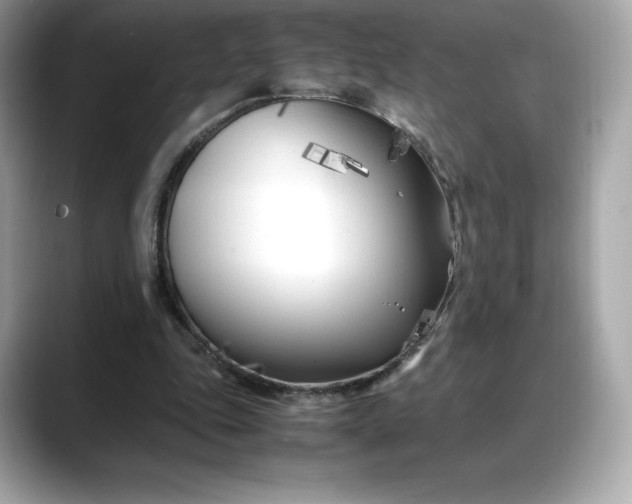 X0000088360343200706051027