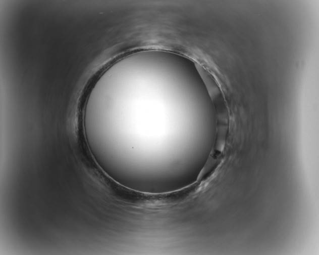 X0000088360344200706051027