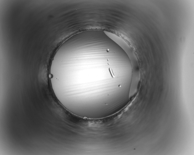 X0000088360345200706051027