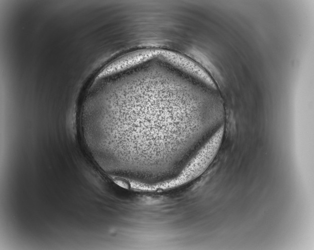 X0000088360346200706051027