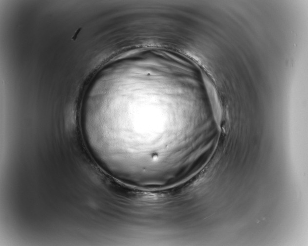 X0000088360347200706051027