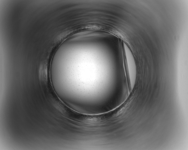 X0000088360349200706051027