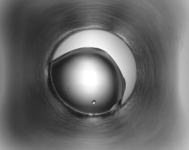 X0000088360350200706051027