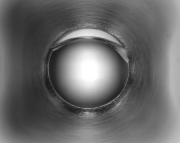 X0000088360352200706051027