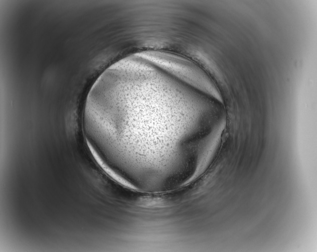 X0000088360354200706051027