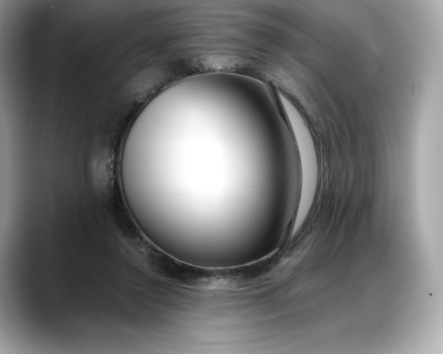 X0000088360356200706051027