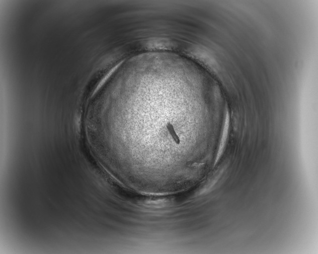 X0000088360357200706051027