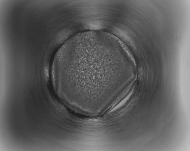 X0000088360358200706051027