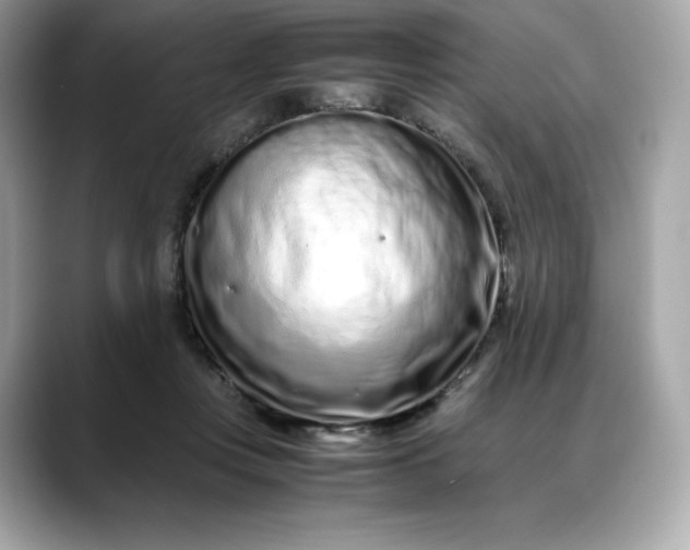 X0000088360359200706051027