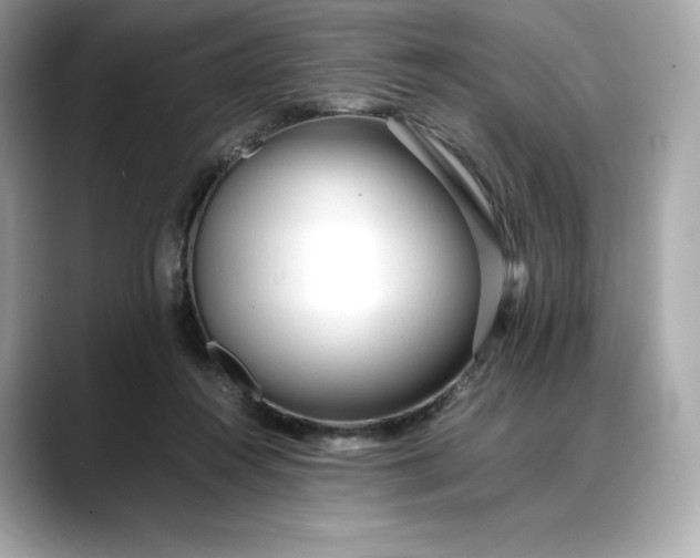 X0000088360360200706051027