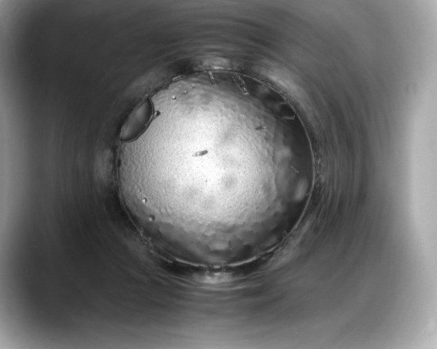 X0000088360361200706051027