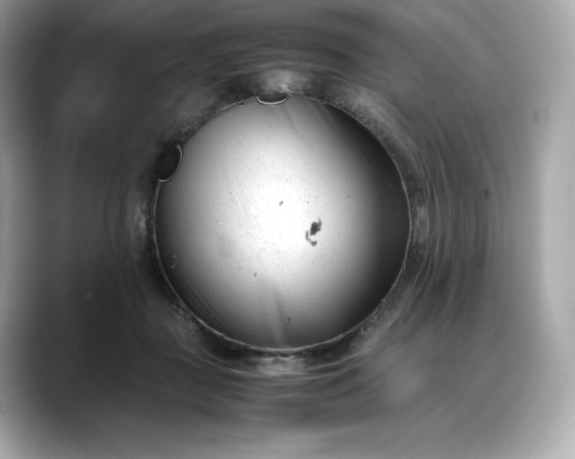 X0000088360363200706051027