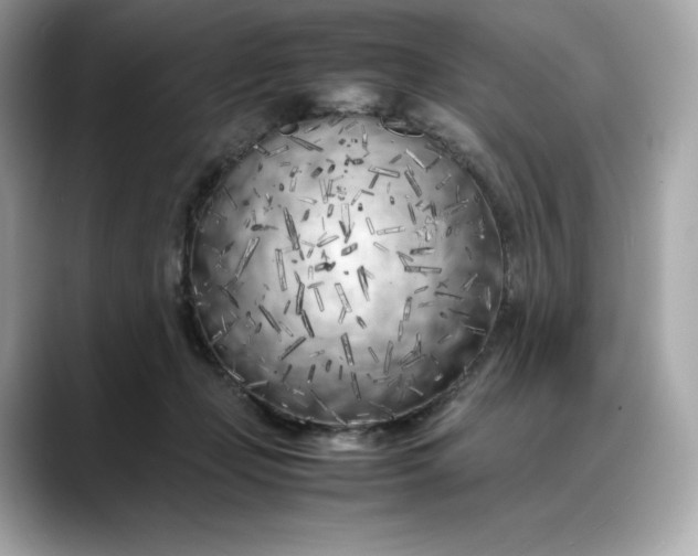 X0000088360365200706051027