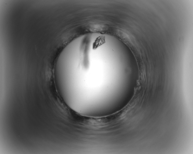 X0000088360367200706051027