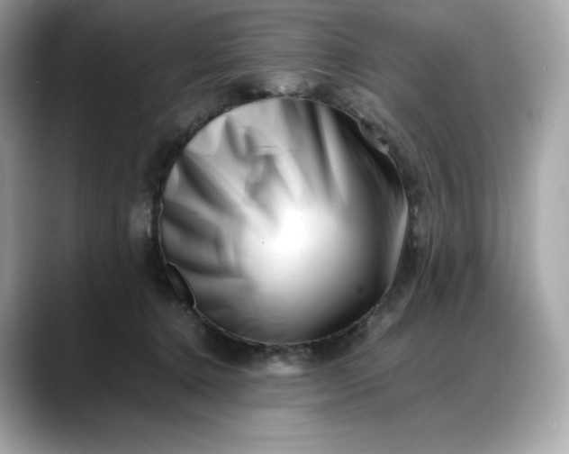 X0000088360368200706051027