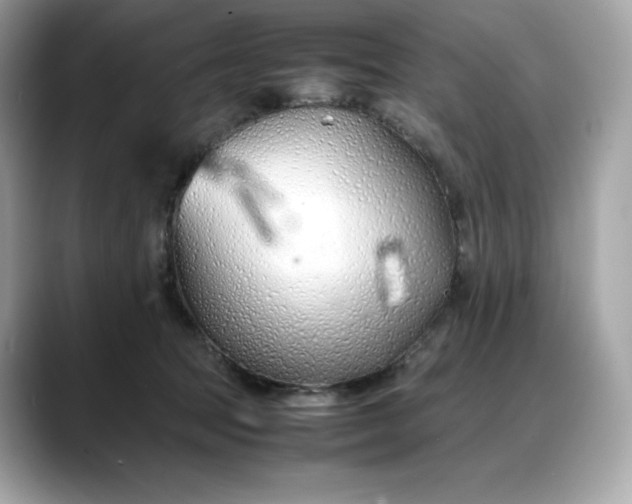 X0000088360369200706051027