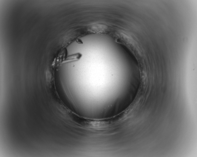 X0000088360371200706051027