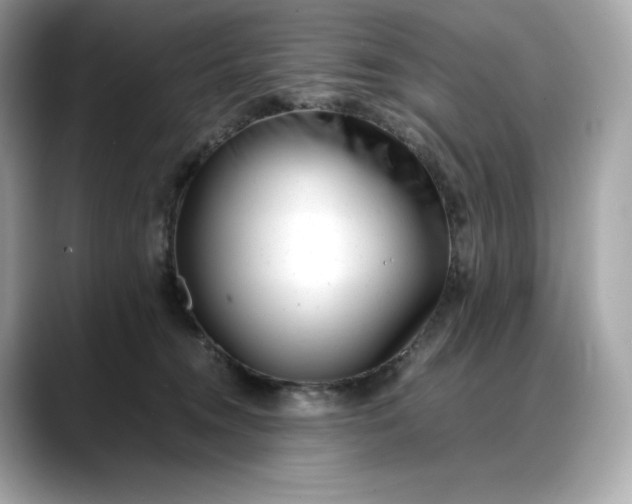 X0000088360372200706051027