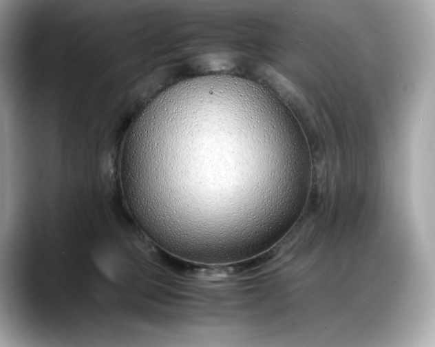 X0000088360373200706051027