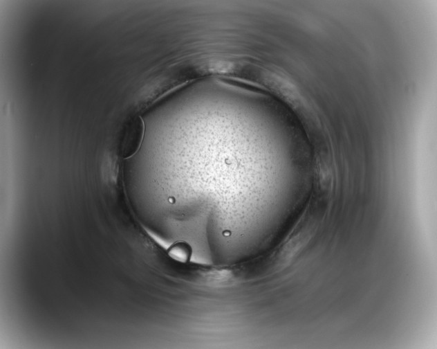 X0000088360374200706051027