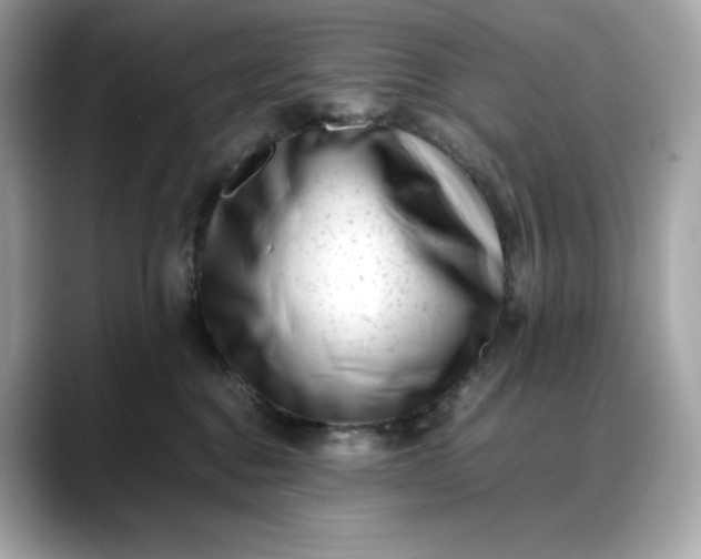 X0000088360376200706051027