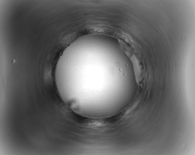 X0000088360377200706051027