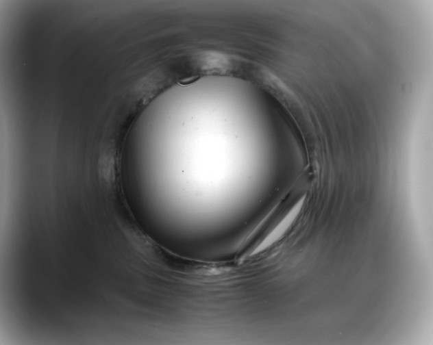 X0000088360379200706051027