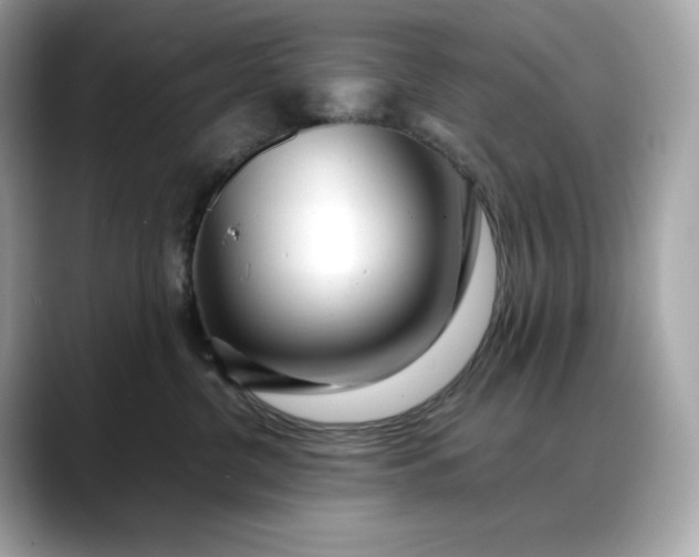 X0000088360380200706051027