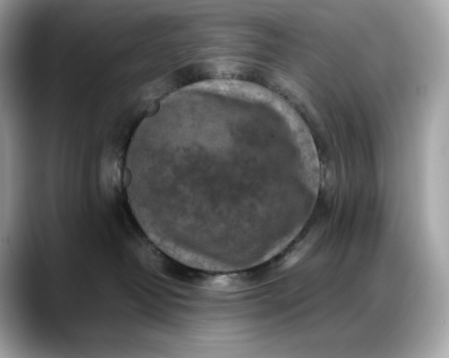 X0000088360382200706051028