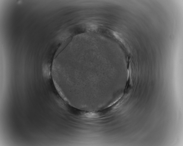 X0000088360383200706051028