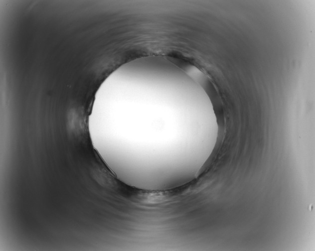 X0000088360384200706051028