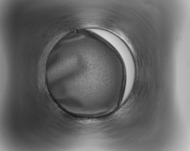 X0000088360385200706051027