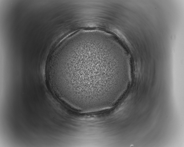 X0000088360386200706051027