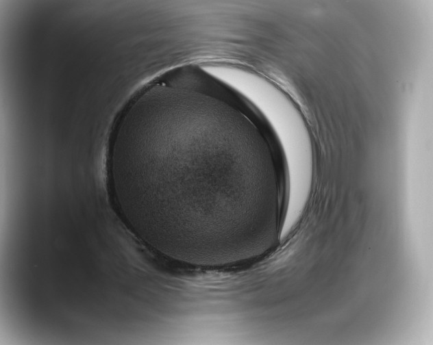 X0000088360387200706051027