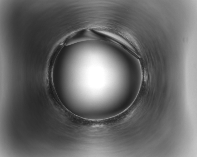 X0000088360388200706051027