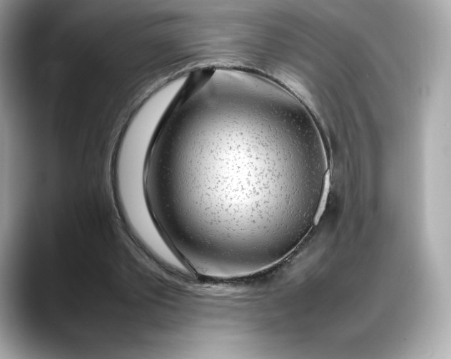 X0000088360389200706051027